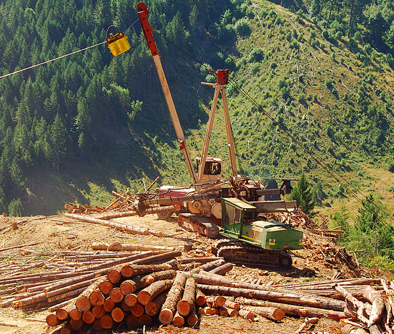 Forestry mapping software - site design, cable analysis
